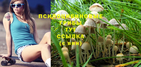 дмт Костерёво