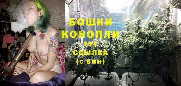 мяу мяу мука Коряжма
