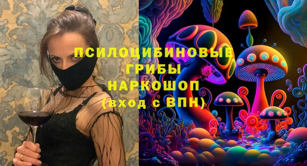 индика Киренск