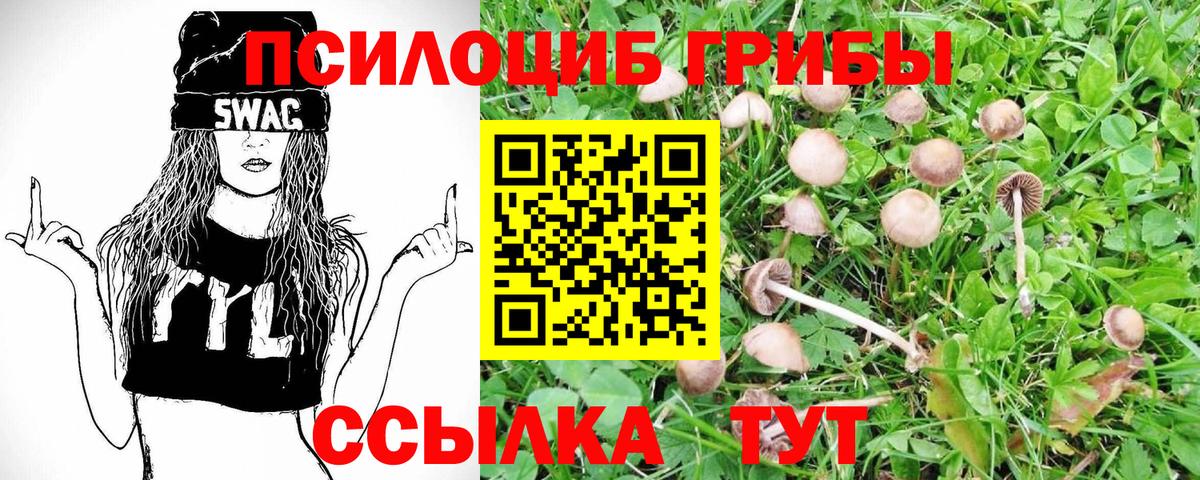 Галлюциногенные грибы мухоморы Котовск