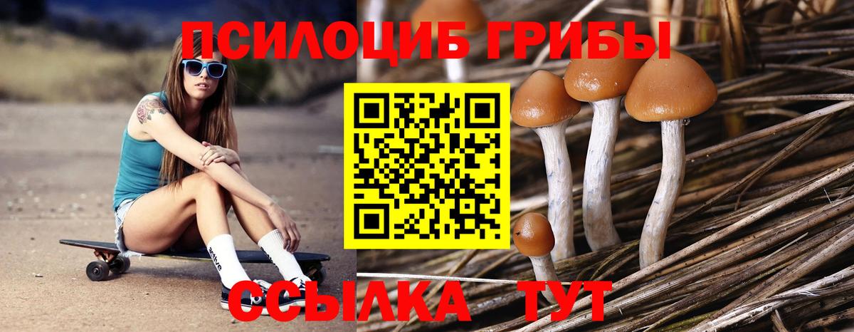 Псилоцибиновые грибы Psilocybe  Псилоцибиновые грибы MAGIC MUSHROOMS  Котовск  Вход с VPN 